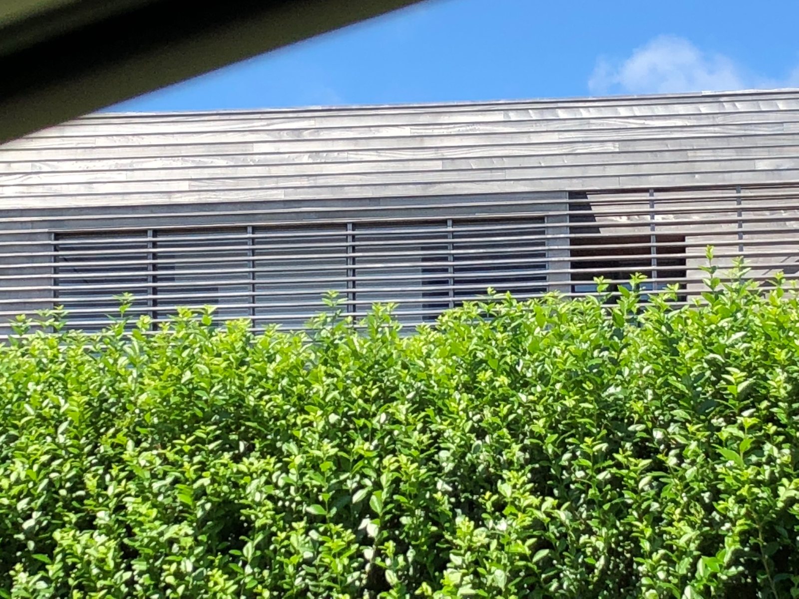 Weathered Sapele siding where the surface has silvered unevenly