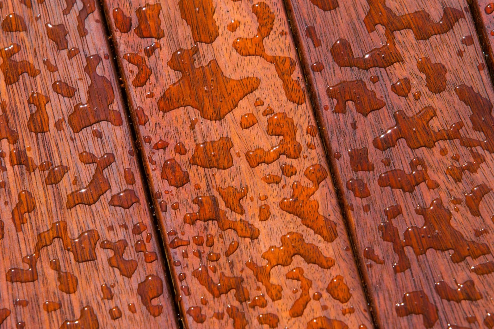 Penetrating oil beading on a finished wood surface