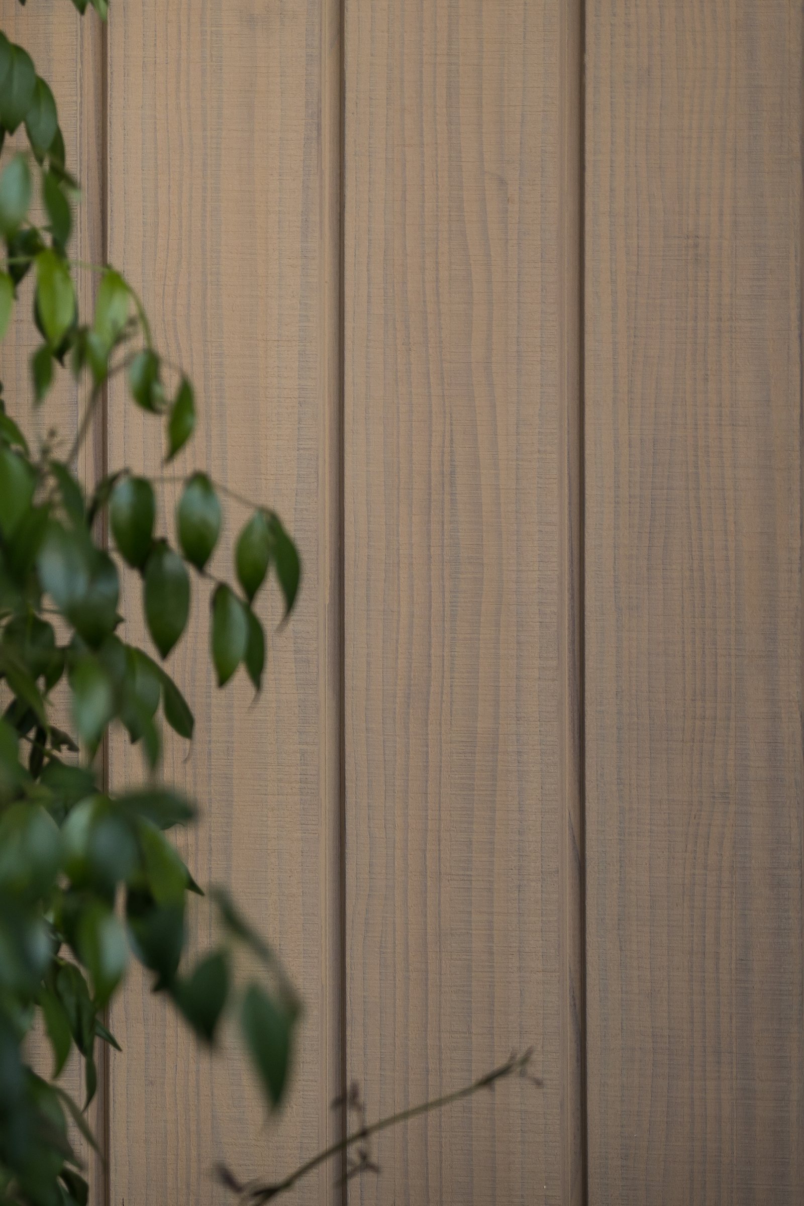 Does Modified Wood Need a Finish, and What Happens If You Skip It
