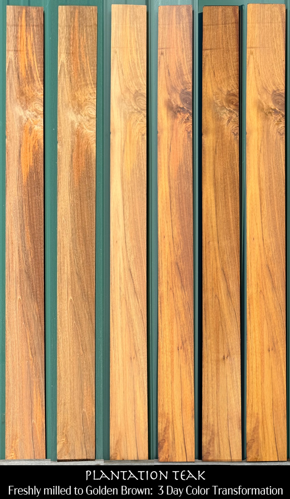 Color change study on exterior wood over time