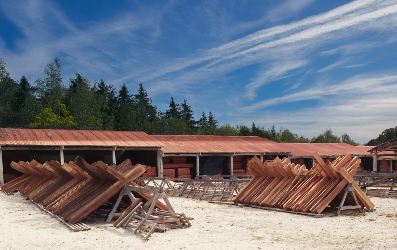 How Managed Forest Concessions in South America and Africa Produce Responsible Tropical Decking
