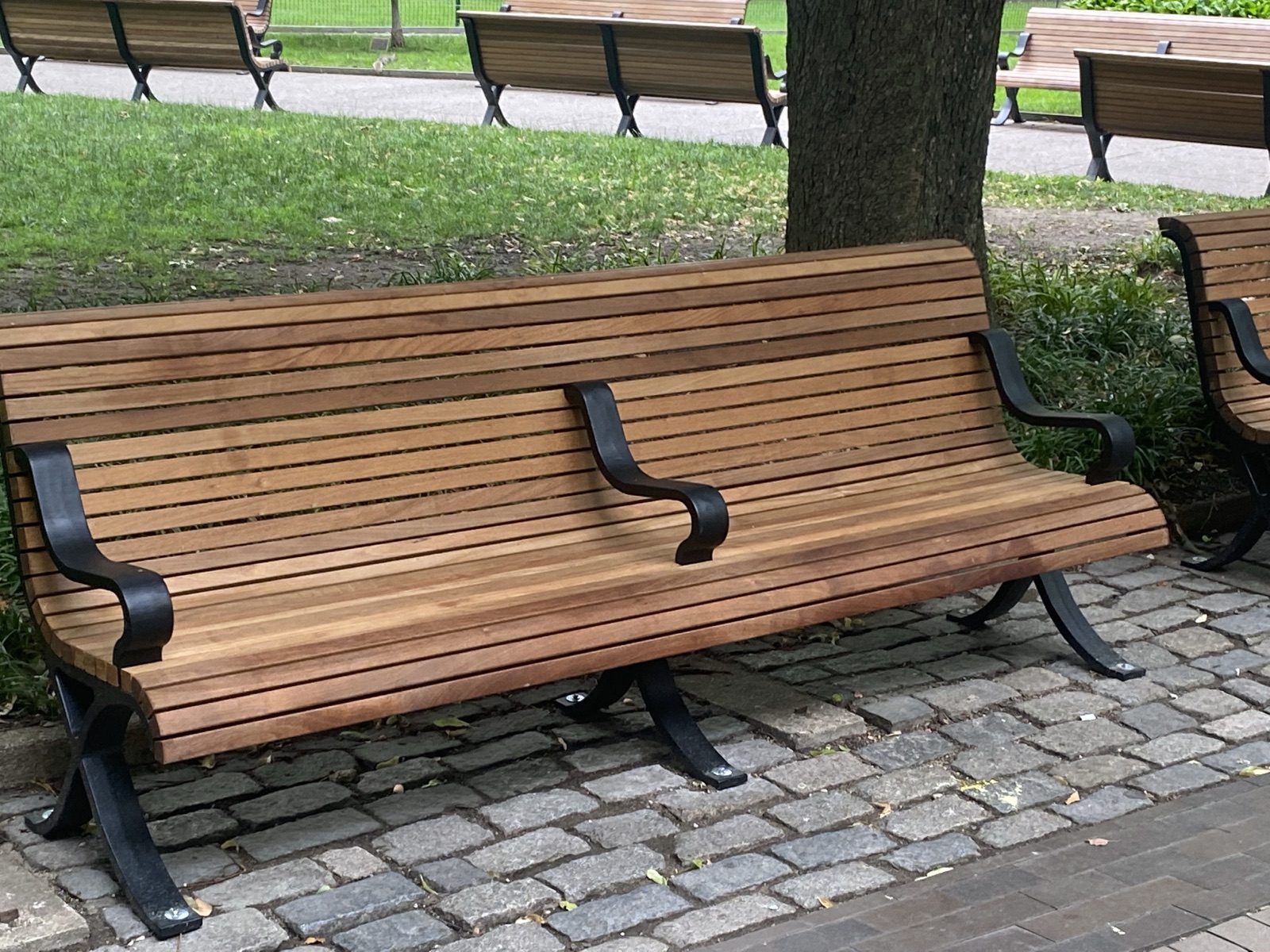 Tropical hardwood seating in a civic installation