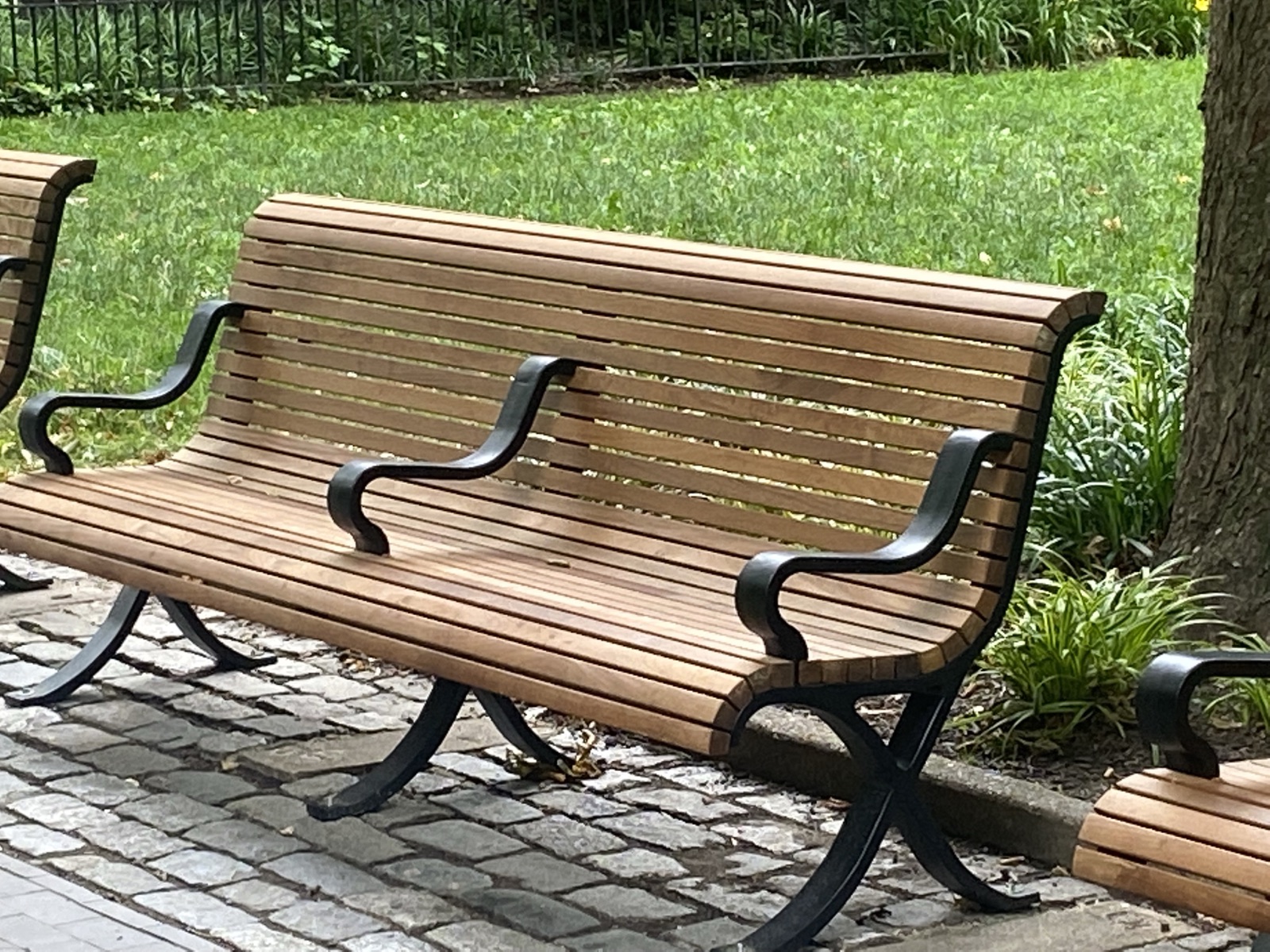 Public tropical hardwood seating in a civic plaza